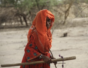 Kamerun: vstříc velkému čadskému průšvihu