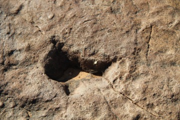 219 milionů let staré stopy - šílenost (Namibie)