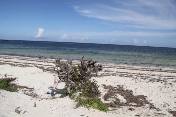 Z Mombasy do Nairobi