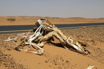 Súdánem bez peněz a vody