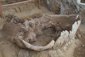 Jezero Turkana a dárek starý 5 milionů let (Keňa)