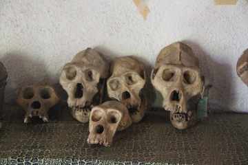 Z Konga do Burundi a jídlo připravené na motoru auta