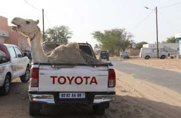 Mauretánské pouštní poklady